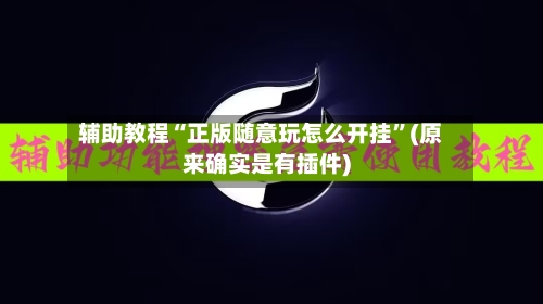 辅助教程“正版随意玩怎么开挂”(原来确实是有插件)-第2张图片