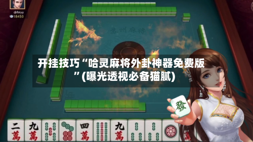 开挂技巧“哈灵麻将外卦神器免费版	”(曝光透视必备猫腻)-第2张图片