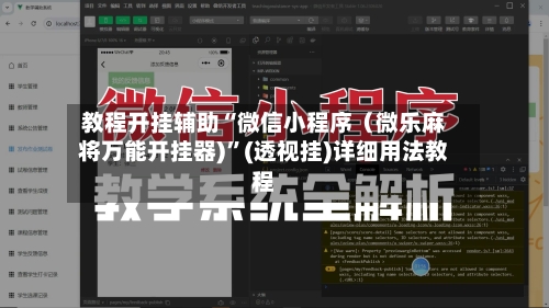 教程开挂辅助“微信小程序（微乐麻将万能开挂器)”(透视挂)详细用法教程-第2张图片
