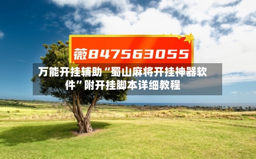 万能开挂辅助“蜀山麻将开挂神器软件”附开挂脚本详细教程-第2张图片