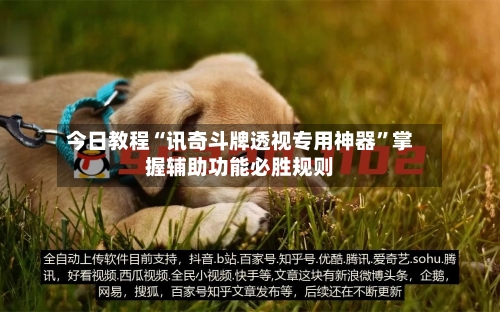 今日教程“讯奇斗牌透视专用神器	”掌握辅助功能必胜规则-第2张图片