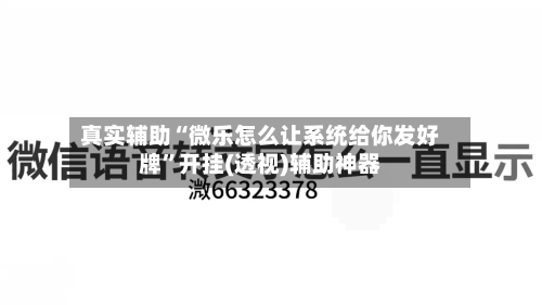 真实辅助“微乐怎么让系统给你发好牌	”开挂(透视)辅助神器-第2张图片