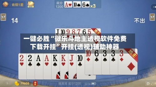一键必胜“微乐斗地主透视软件免费下载开挂	”开挂(透视)辅助神器-第2张图片