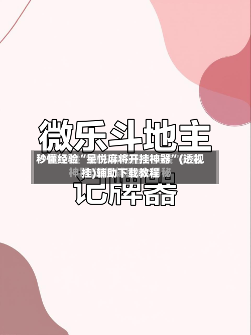 秒懂经验“星悦麻将开挂神器”(透视挂)辅助下载教程-第2张图片
