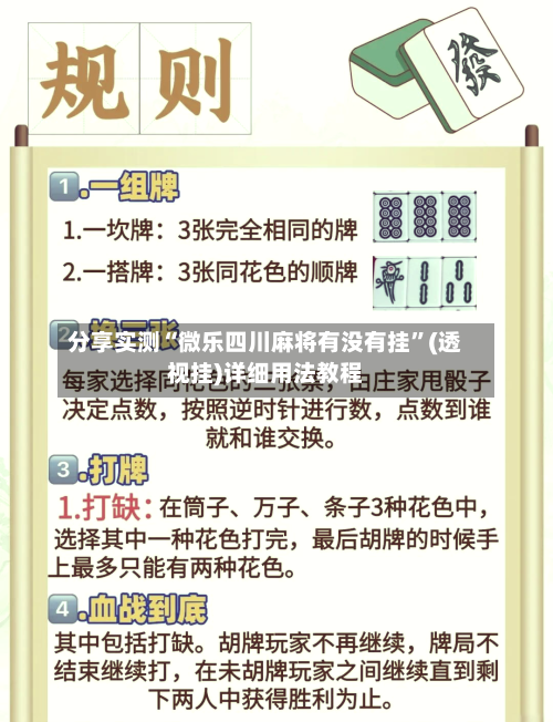 分享实测“微乐四川麻将有没有挂”(透视挂)详细用法教程-第3张图片