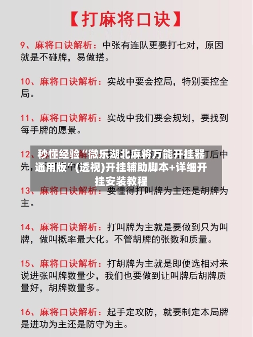 秒懂经验“微乐湖北麻将万能开挂器通用版	”(透视)开挂辅助脚本+详细开挂安装教程-第2张图片