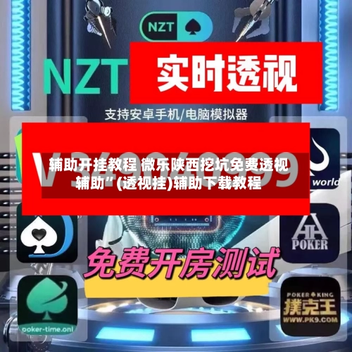 辅助开挂教程 微乐陕西挖坑免费透视辅助”(透视挂)辅助下载教程-第2张图片