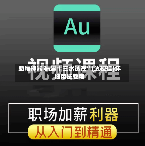 助赢神器 福建十三水透视”(透视挂)详细用法教程-第3张图片
