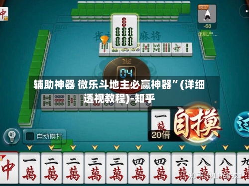 辅助神器 微乐斗地主必赢神器”(详细透视教程)-知乎-第2张图片