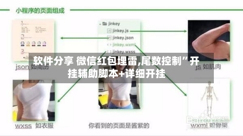 软件分享 微信红包埋雷,尾数控制”开挂辅助脚本+详细开挂-第3张图片