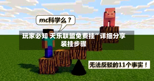 玩家必知 天乐联盟免费挂”详细分享装挂步骤-第2张图片