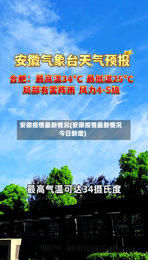 安徽疫情最新情况(安徽疫情最新情况今日新增)-第2张图片