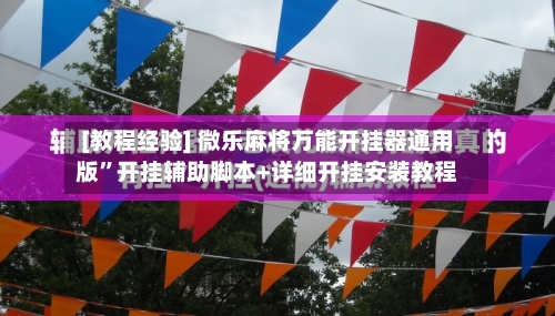 [教程经验] 微乐麻将万能开挂器通用版”开挂辅助脚本+详细开挂安装教程-第3张图片