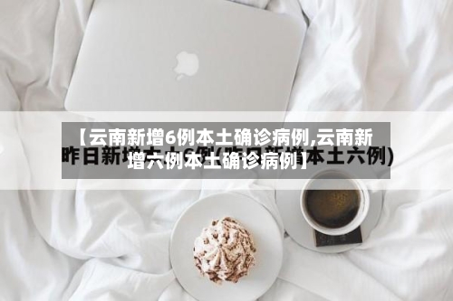 【云南新增6例本土确诊病例,云南新增六例本土确诊病例】-第2张图片