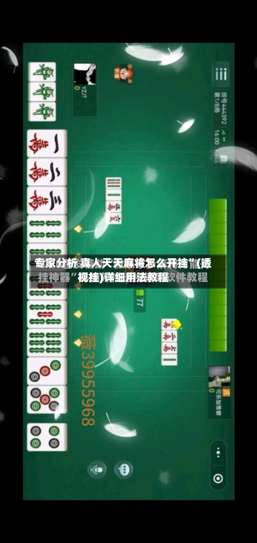 专家分析 真人天天麻将怎么开挂”(透视挂)详细用法教程-第3张图片