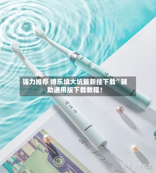 强力推荐 博乐填大坑最新挂下载	”辅助通用版下载教程！-第2张图片