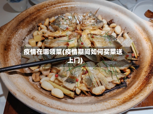 疫情在哪领菜(疫情期间如何买菜送上门)-第2张图片