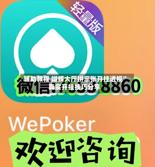 辅助教程 蝴蝶大厅拼三张开挂透视”真实开挂技巧分享-第2张图片