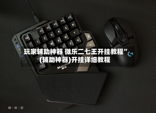 玩家辅助神器 微乐二七王开挂教程”(辅助神器)开挂详细教程-第3张图片
