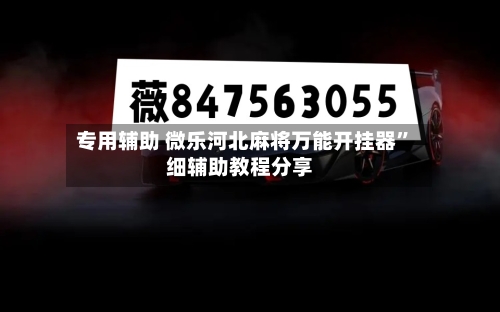专用辅助 微乐河北麻将万能开挂器”细辅助教程分享-第2张图片