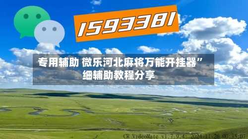 专用辅助 微乐河北麻将万能开挂器	”细辅助教程分享-第3张图片