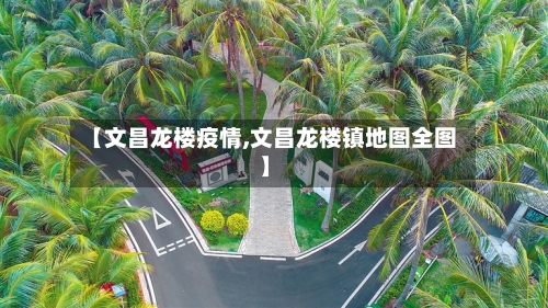 【文昌龙楼疫情,文昌龙楼镇地图全图】-第2张图片