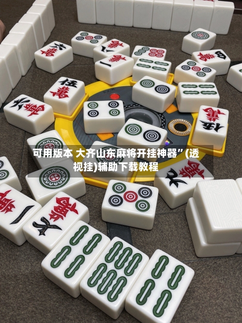 可用版本 大齐山东麻将开挂神器”(透视挂)辅助下载教程-第2张图片