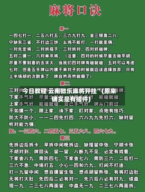 今日教程 云南微乐麻将开挂”(原来确实是有插件)-第2张图片