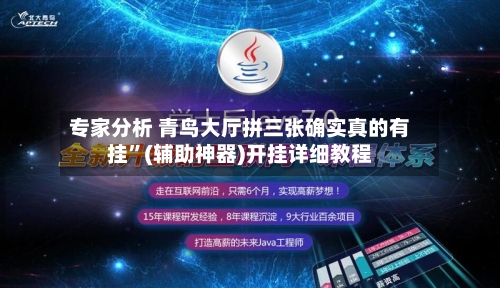 专家分析 青鸟大厅拼三张确实真的有挂”(辅助神器)开挂详细教程-第2张图片