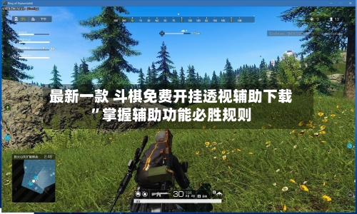 最新一款 斗棋免费开挂透视辅助下载”掌握辅助功能必胜规则-第2张图片