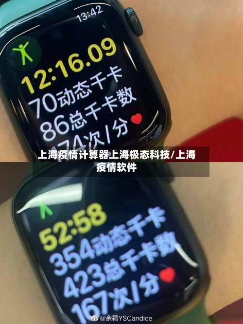 上海疫情计算器上海极态科技/上海疫情软件