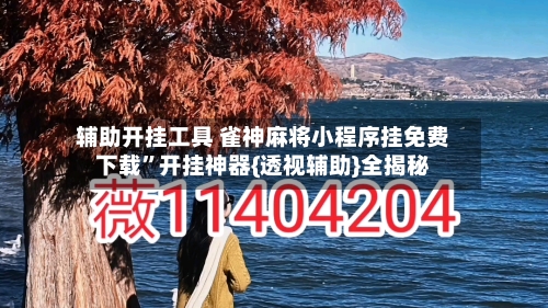 辅助开挂工具 雀神麻将小程序挂免费下载”开挂神器{透视辅助}全揭秘-第3张图片