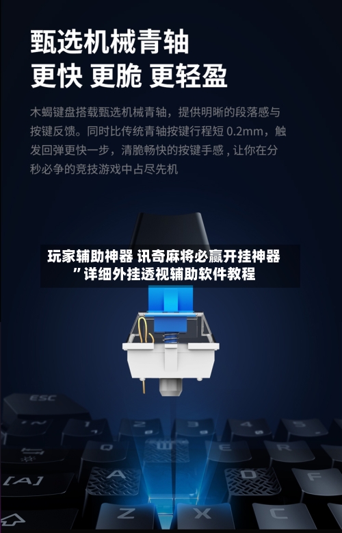 玩家辅助神器 讯奇麻将必赢开挂神器	”详细外挂透视辅助软件教程-第3张图片
