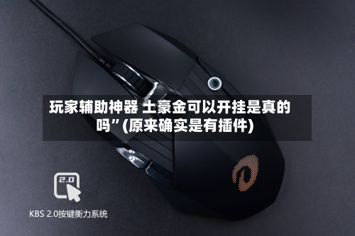 玩家辅助神器 土豪金可以开挂是真的吗”(原来确实是有插件)-第2张图片