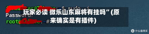 玩家必读 微乐山东麻将有挂吗	”(原来确实是有插件)-第2张图片