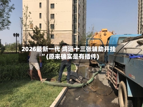 2026最新一代 鸿运十三张辅助开挂”(原来确实是有插件)-第2张图片