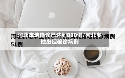 河北本地确诊已达到800例/河北多地出现确诊病例