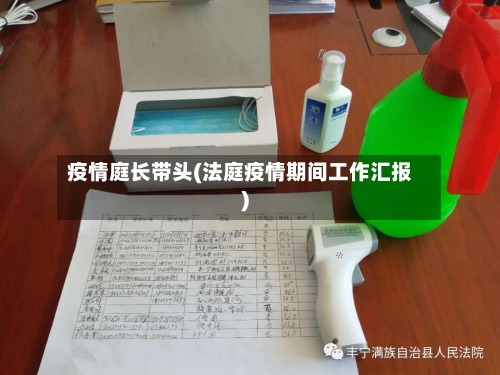 疫情庭长带头(法庭疫情期间工作汇报)-第2张图片