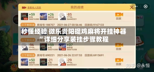 秒懂经验 微乐贵阳捉鸡麻将开挂神器	”详细分享装挂步骤教程-第2张图片