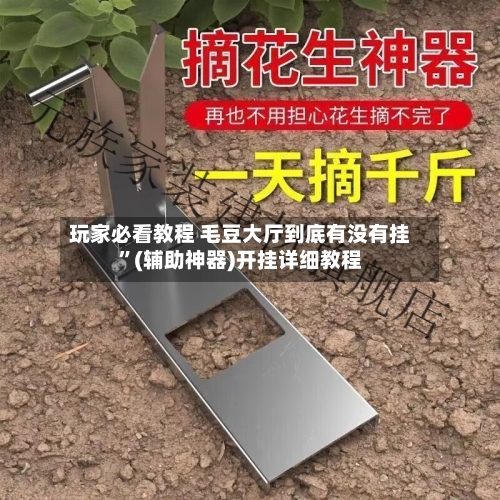 玩家必看教程 毛豆大厅到底有没有挂	”(辅助神器)开挂详细教程-第2张图片