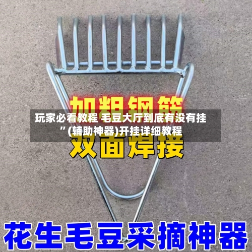 玩家必看教程 毛豆大厅到底有没有挂”(辅助神器)开挂详细教程-第3张图片