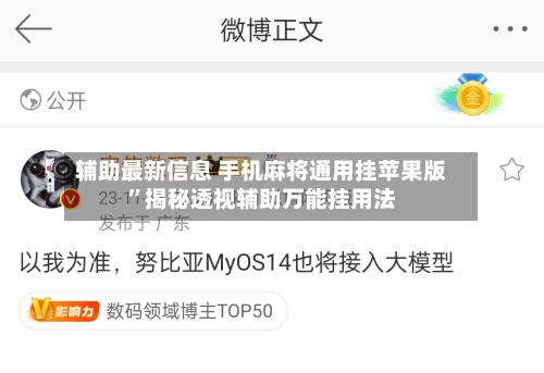 辅助最新信息 手机麻将通用挂苹果版”揭秘透视辅助万能挂用法-第3张图片