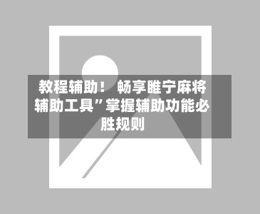 教程辅助！ 畅享睢宁麻将辅助工具”掌握辅助功能必胜规则-第2张图片