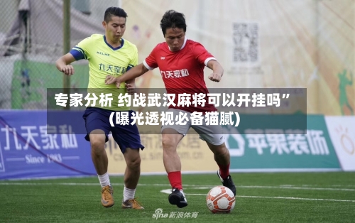 专家分析 约战武汉麻将可以开挂吗”(曝光透视必备猫腻)-第3张图片