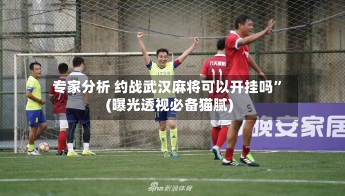 专家分析 约战武汉麻将可以开挂吗”(曝光透视必备猫腻)-第2张图片