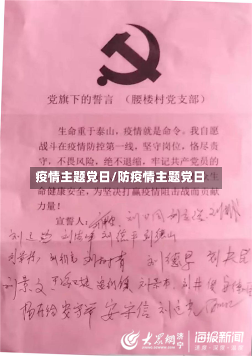 疫情主题党日/防疫情主题党日
