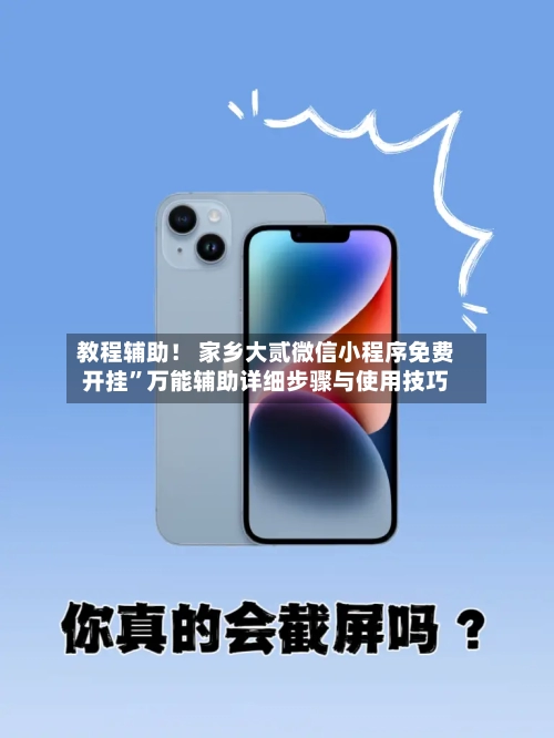 教程辅助！ 家乡大贰微信小程序免费开挂	”万能辅助详细步骤与使用技巧-第2张图片