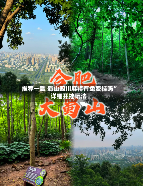 推荐一款 蜀山四川麻将有免费挂吗”详细开挂玩法-第3张图片