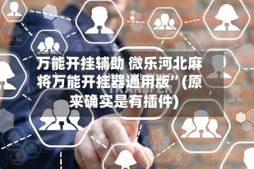 万能开挂辅助 微乐河北麻将万能开挂器通用版”(原来确实是有插件)-第3张图片