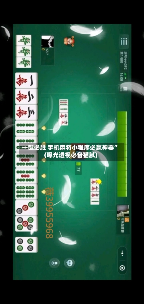 一键必胜 手机麻将小程序必赢神器	”(曝光透视必备猫腻)-第2张图片